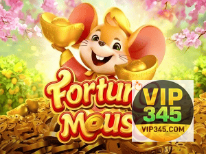 VIP345 login — configurações de segurança e proteção de conta